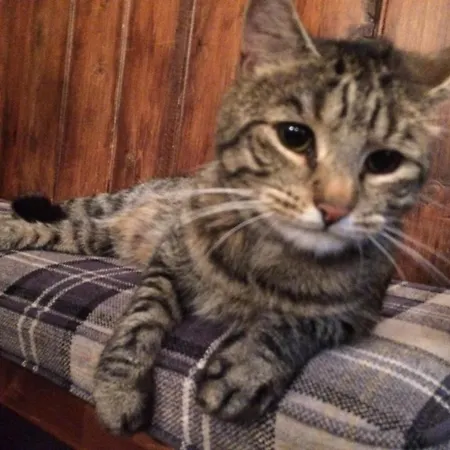 Herdwick Nocleg ze śniadaniem 3*