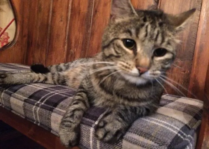 Herdwick Alojamento de Acomodação e Pequeno-almoço 3*